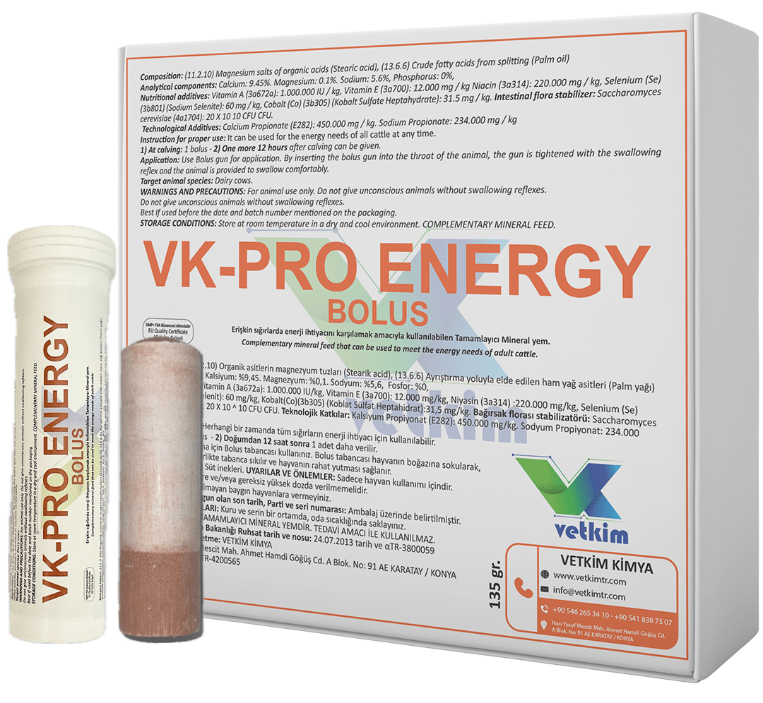 VK-PRO ENERGY